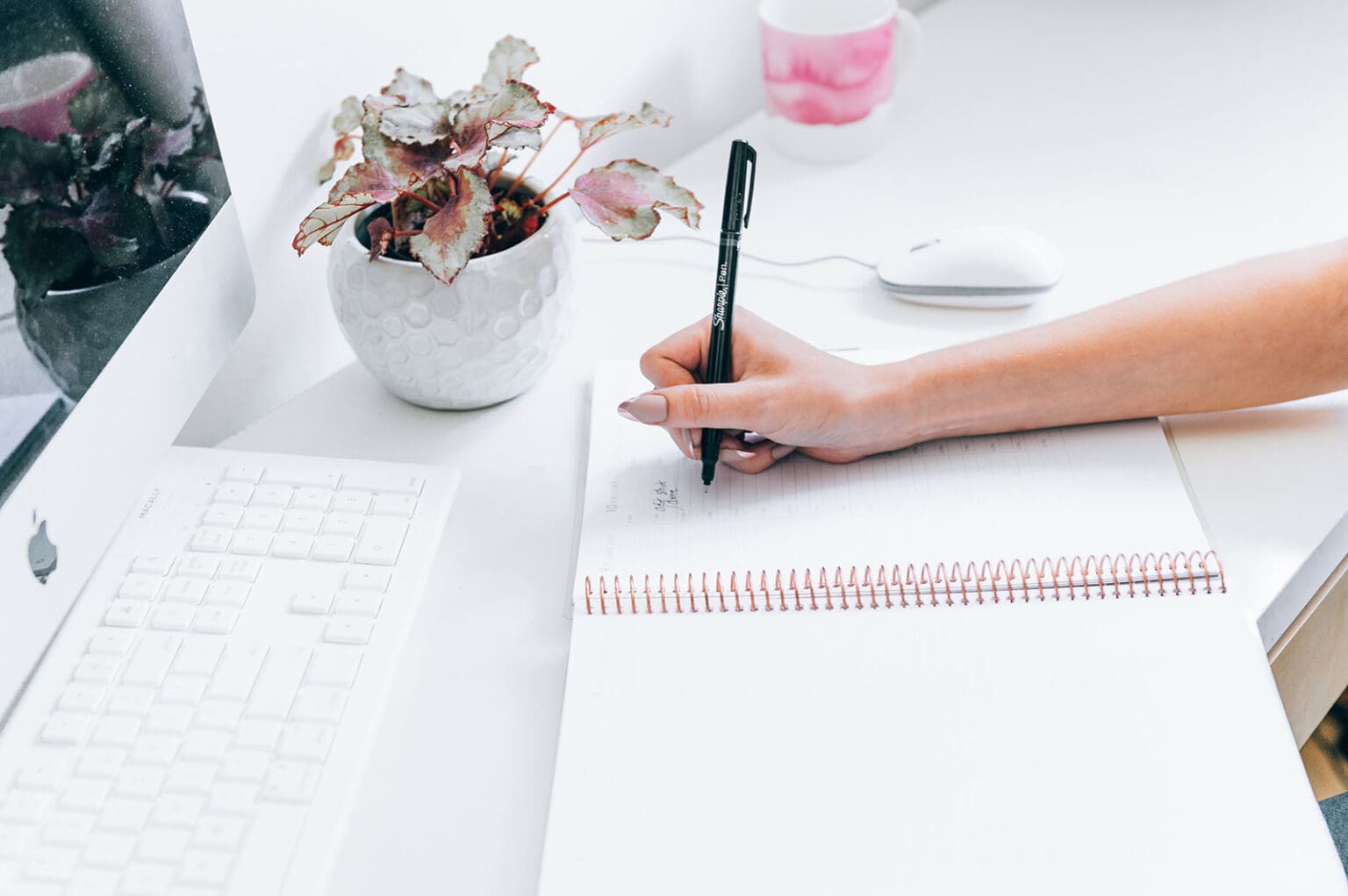 showit website pros and cons